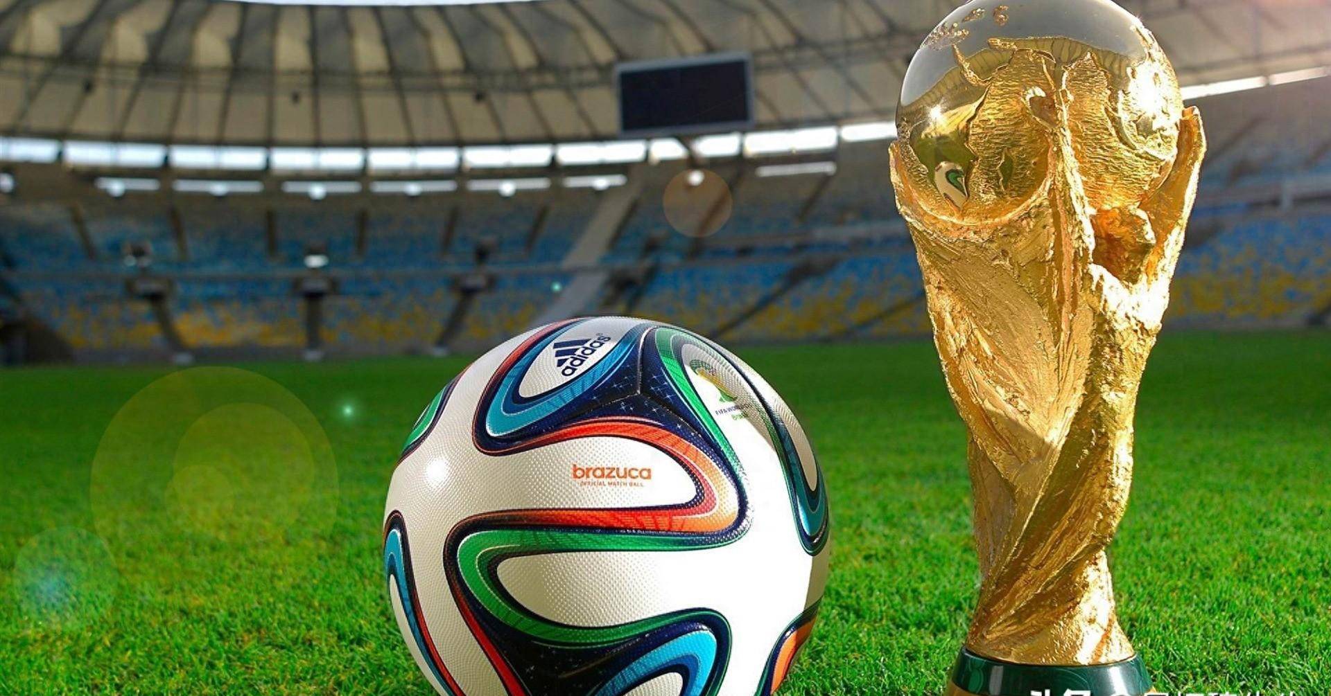 全网讨论的 全网讨论的